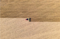 Roter Mähdrescher erntet Getreidefeld